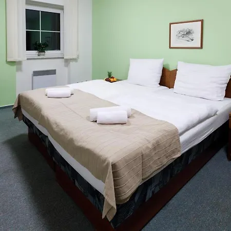 Hotel U Andela Michaela Javorna